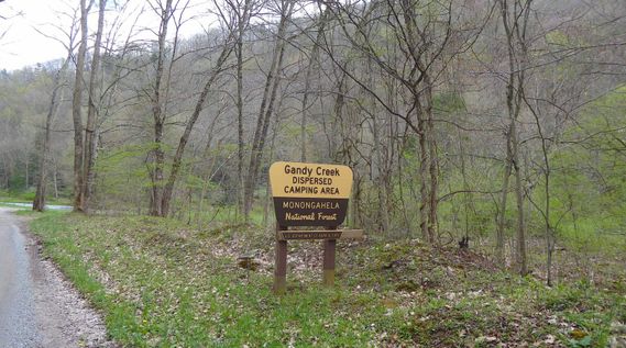 Gandy Creek sign