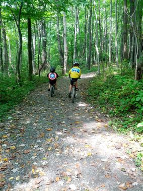 Two mountain bikers on a gravel trail in White Park