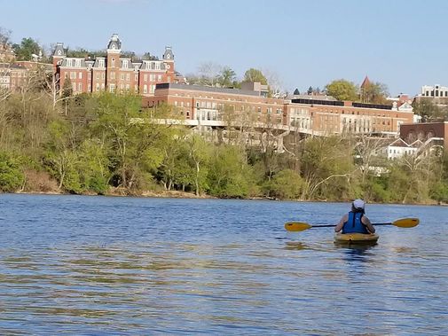 A kayaker paddles on the Mon. River in downtown Morgantown
