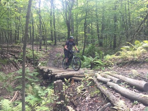 A mountain biker rides over a log bridge