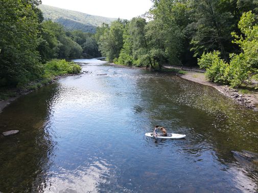 A person and their dog SUP on the Cacapon River