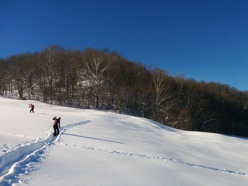 Skiing up the slope on a sunny winter day