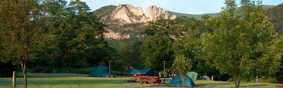 Tents and a picnic table with Seneca Rocks in the background