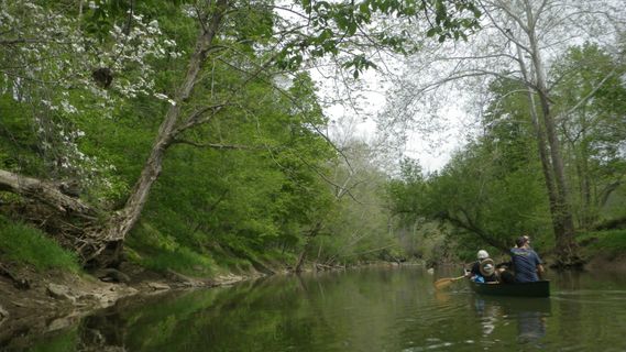 A canoe paddling down Dunkard Creek